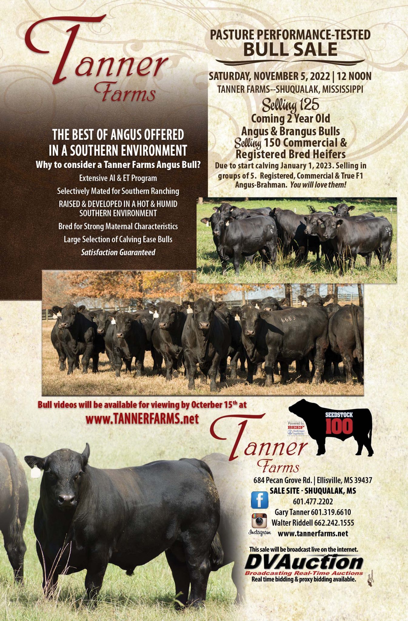 Tanner Farms Pasture Performance-Tested Bull Sale – Tanner Farms